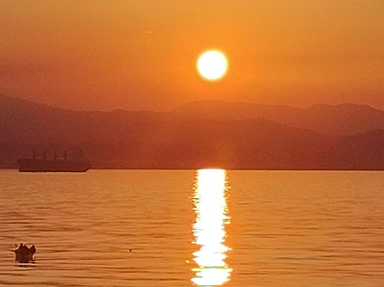 6c3f058f3342991de1e4bb194196504.jpg 圖片